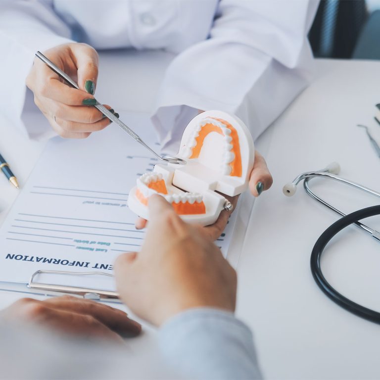 Dental professional explaining a tooth model during a consultation